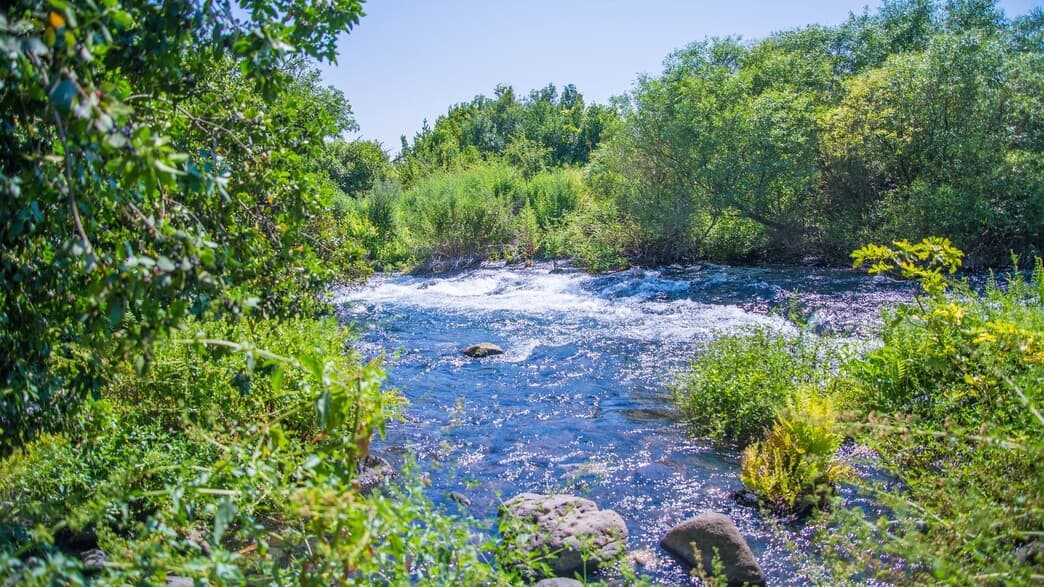 מהצפון ועד הדרום: 5 מסלולי מים מומלצים