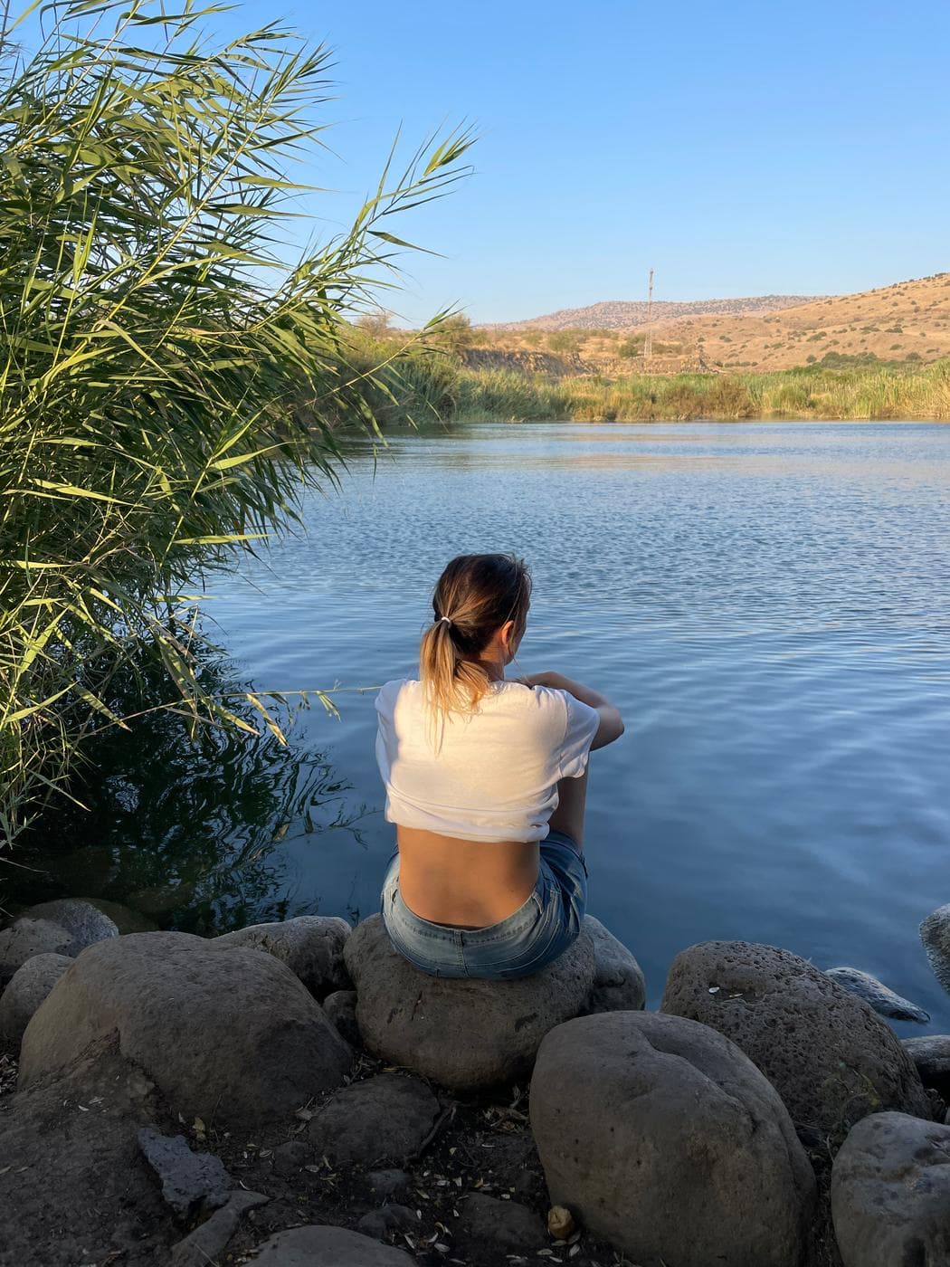 אגם מעלה השחר – שפך נחל דליות, צפון הכנרת - תמונה 5