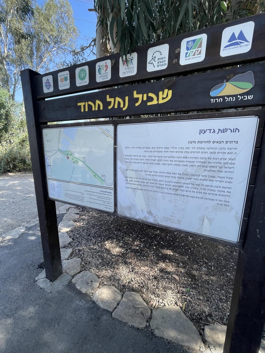 בריכת גדעונה - תמונה 5