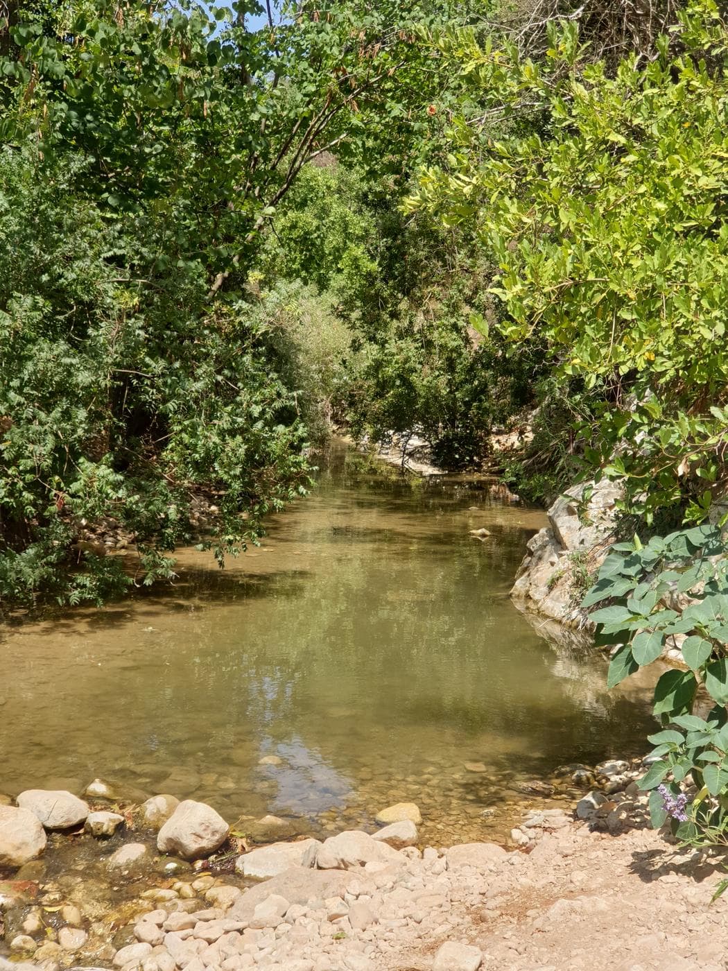 בריכת הדולבים – נחל כזיב, פארק גורן - תמונה 3