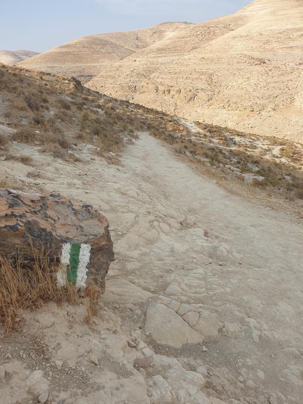 בריכת החרוב – נחל פרת