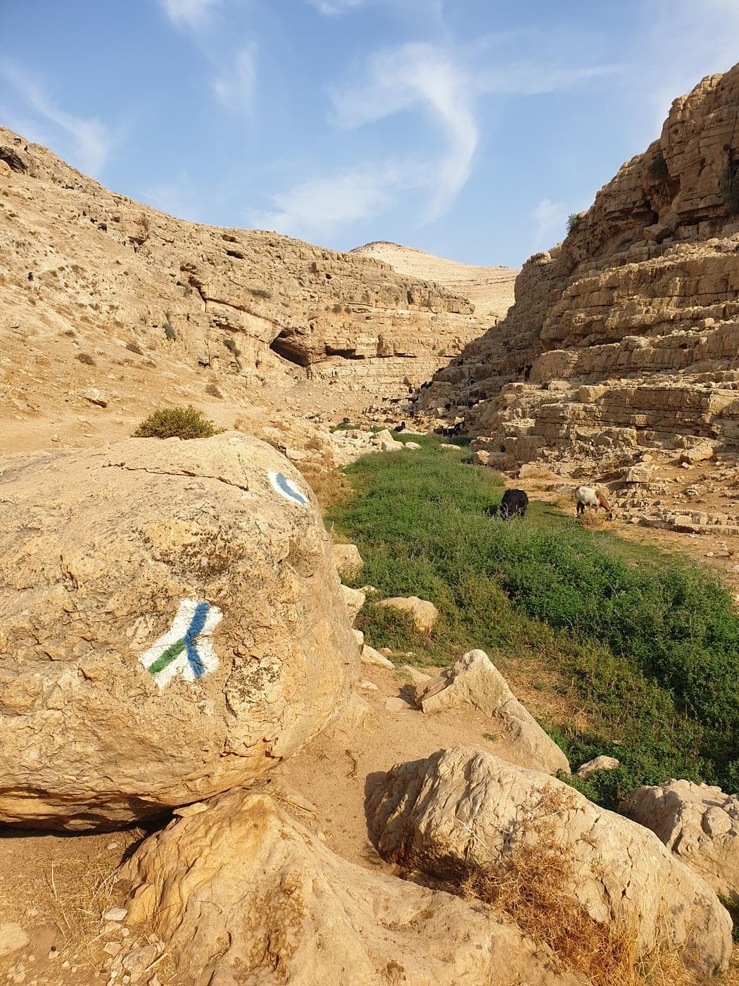 בריכת החרוב – נחל פרת - תמונה 4