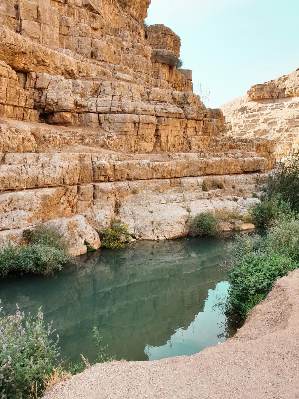 בריכת החרוב – נחל פרת - תמונה 5
