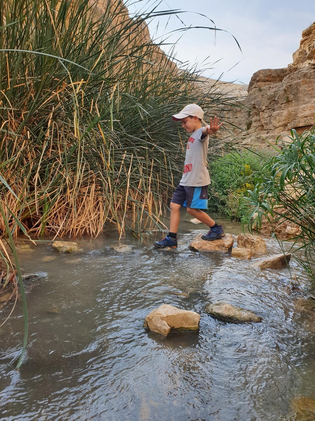 בריכת החרוב – נחל פרת - תמונה 6