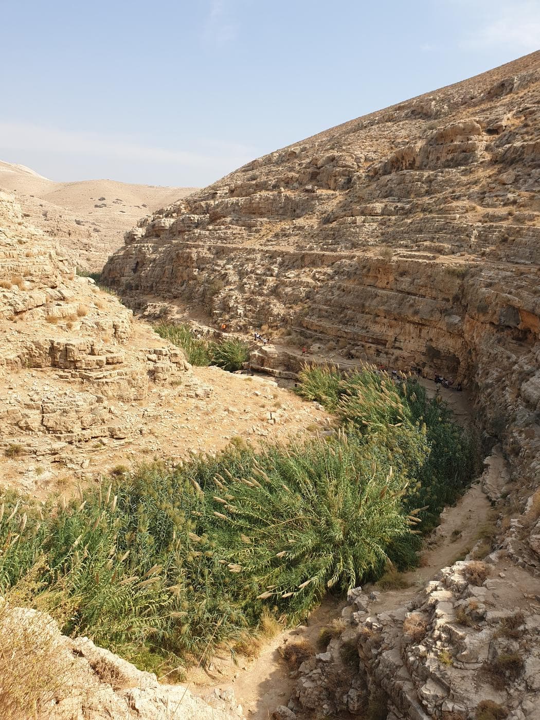 בריכת החרוב – נחל פרת - תמונה 9