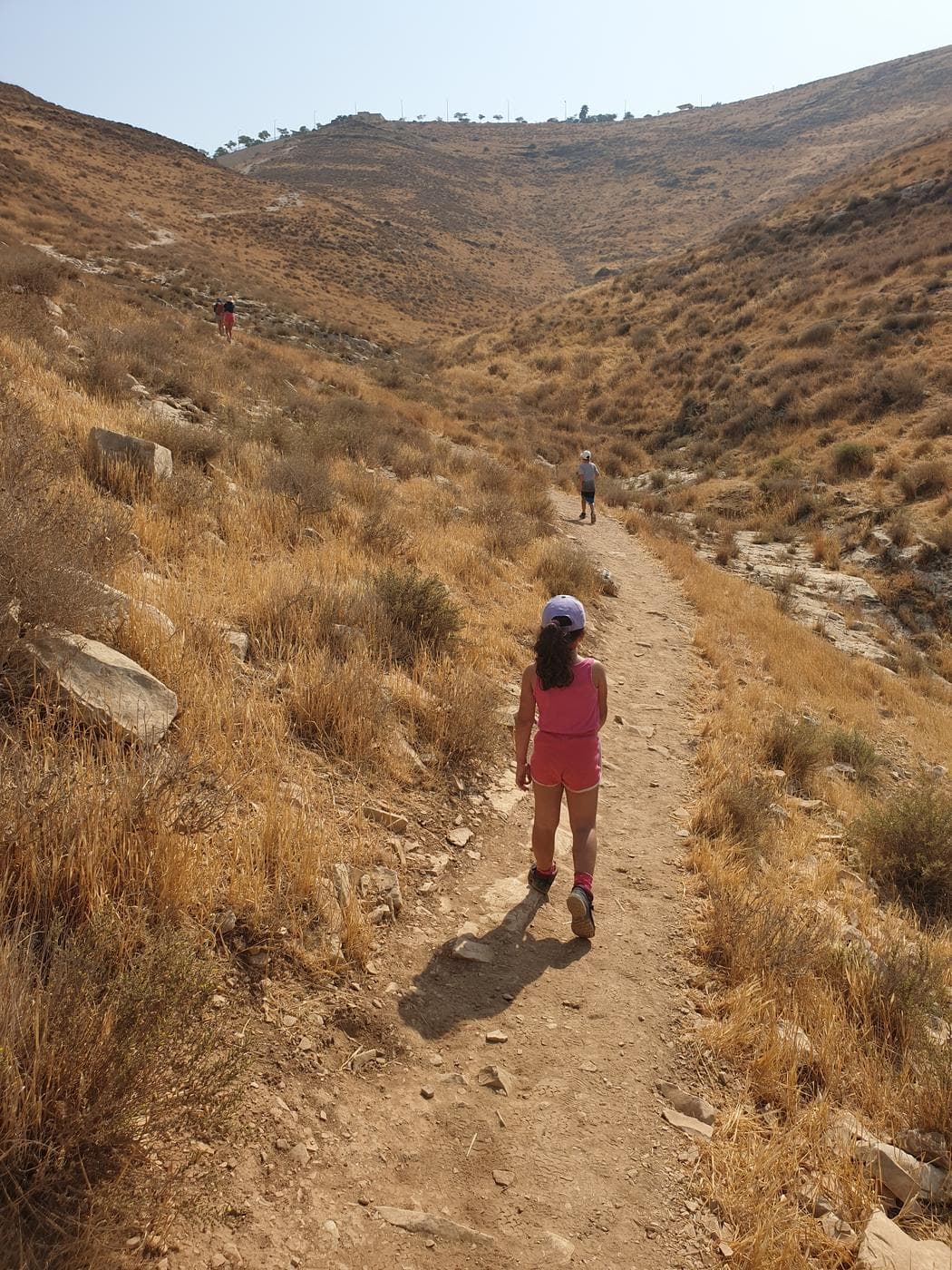 בריכת החרוב – נחל פרת - תמונה 10
