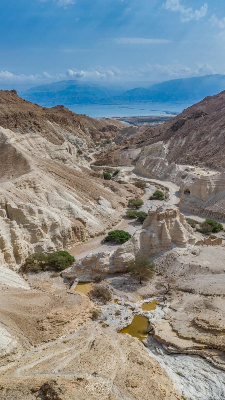 גבי פרס, נחל זוהר וחאן עין גדי - תמונה 11