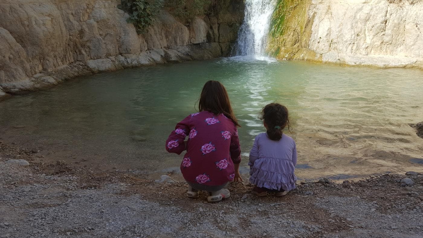 גב חלון – נחל דוד, עין גדי