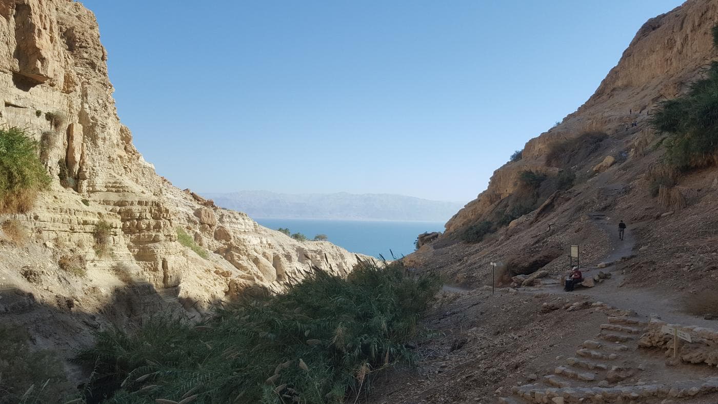 גב חלון – נחל דוד, עין גדי - תמונה מהטיול