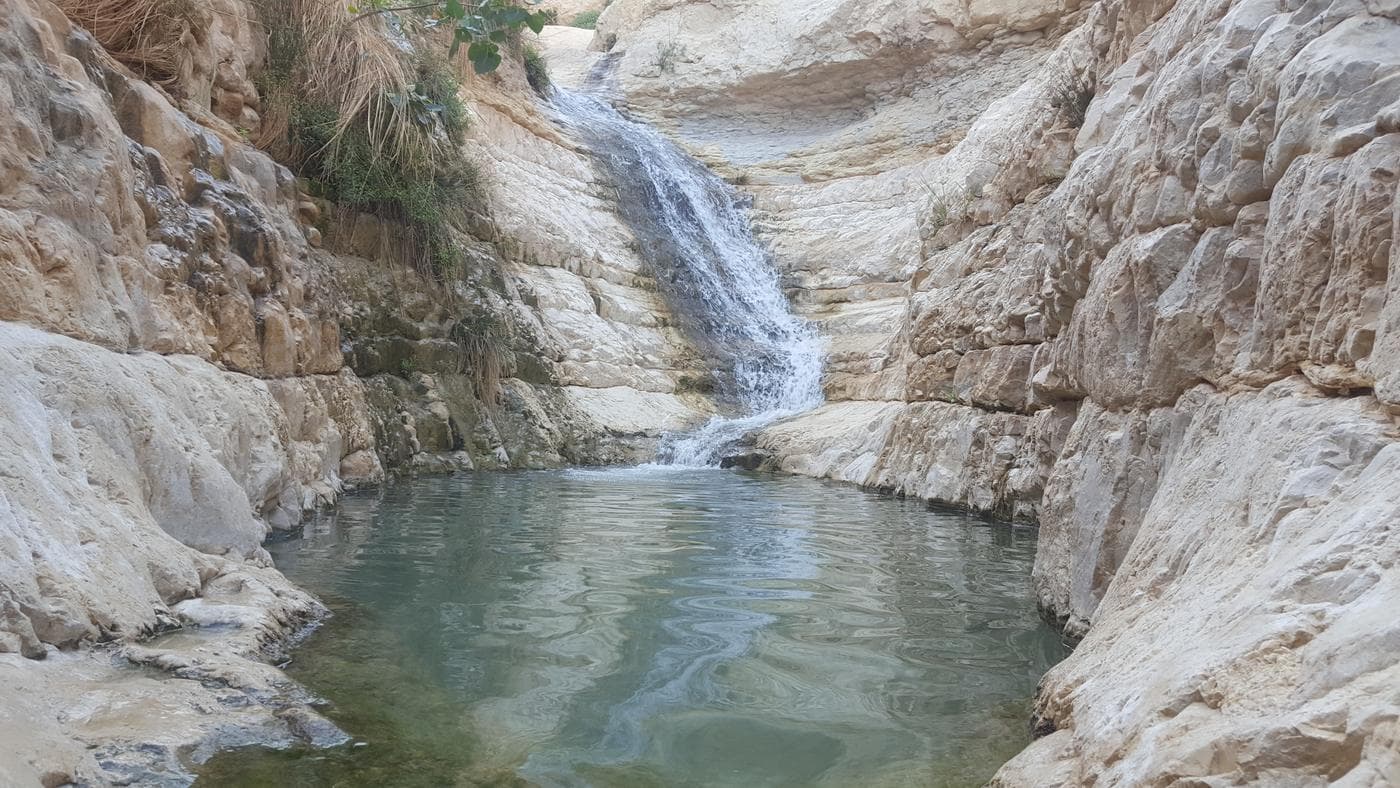 גב חלון – נחל דוד, עין גדי - תמונה 4