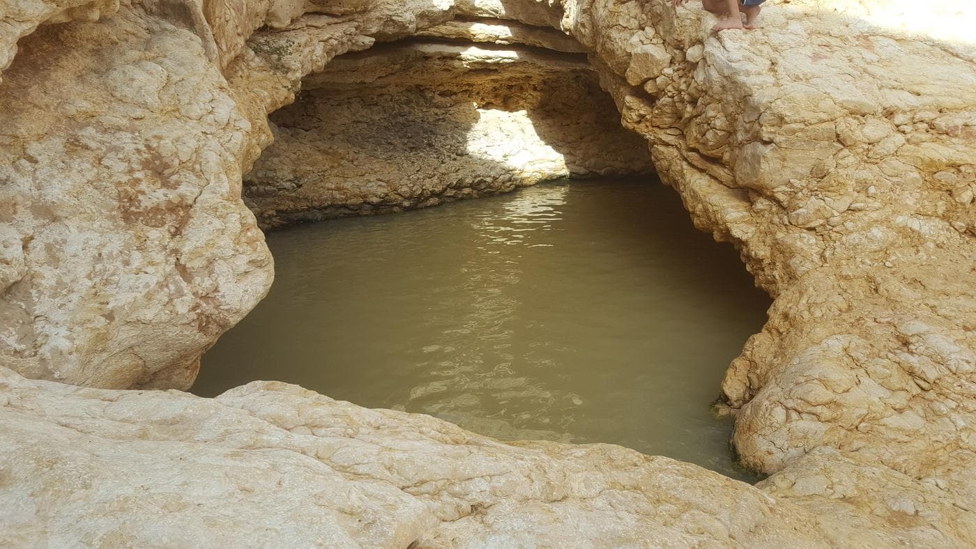 גב ימין - תמונה 4