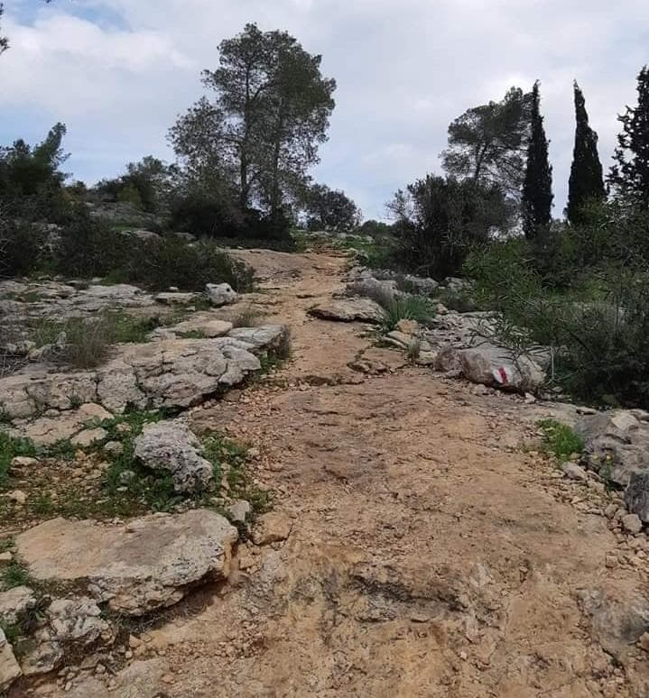 דרך הקיסר וחרבת חנות - תמונה 3