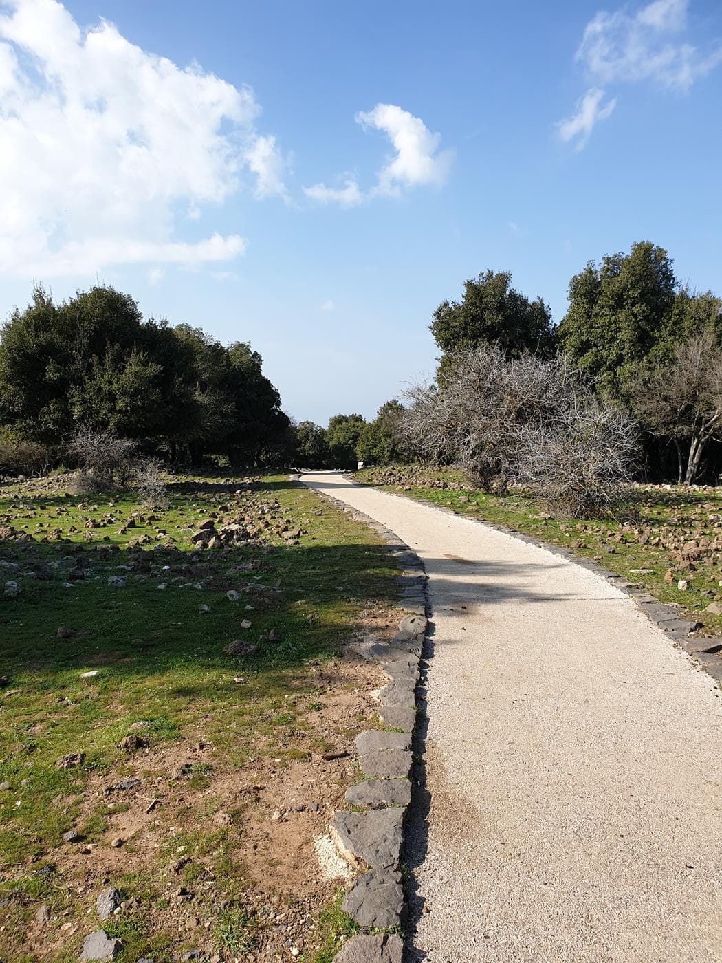 הג'ובה הגדולה - תמונה 7