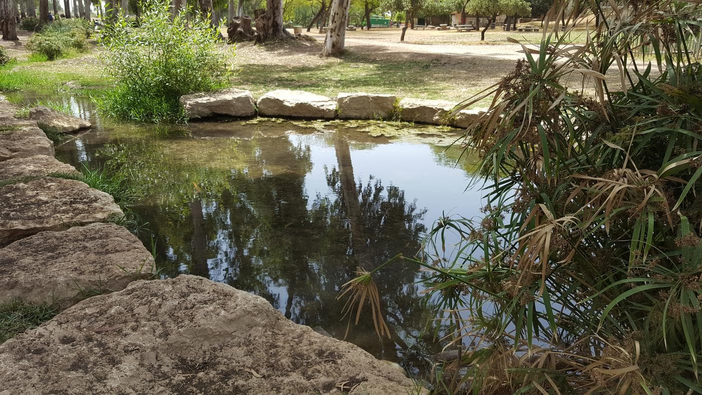 הירקון – פתח תקווה