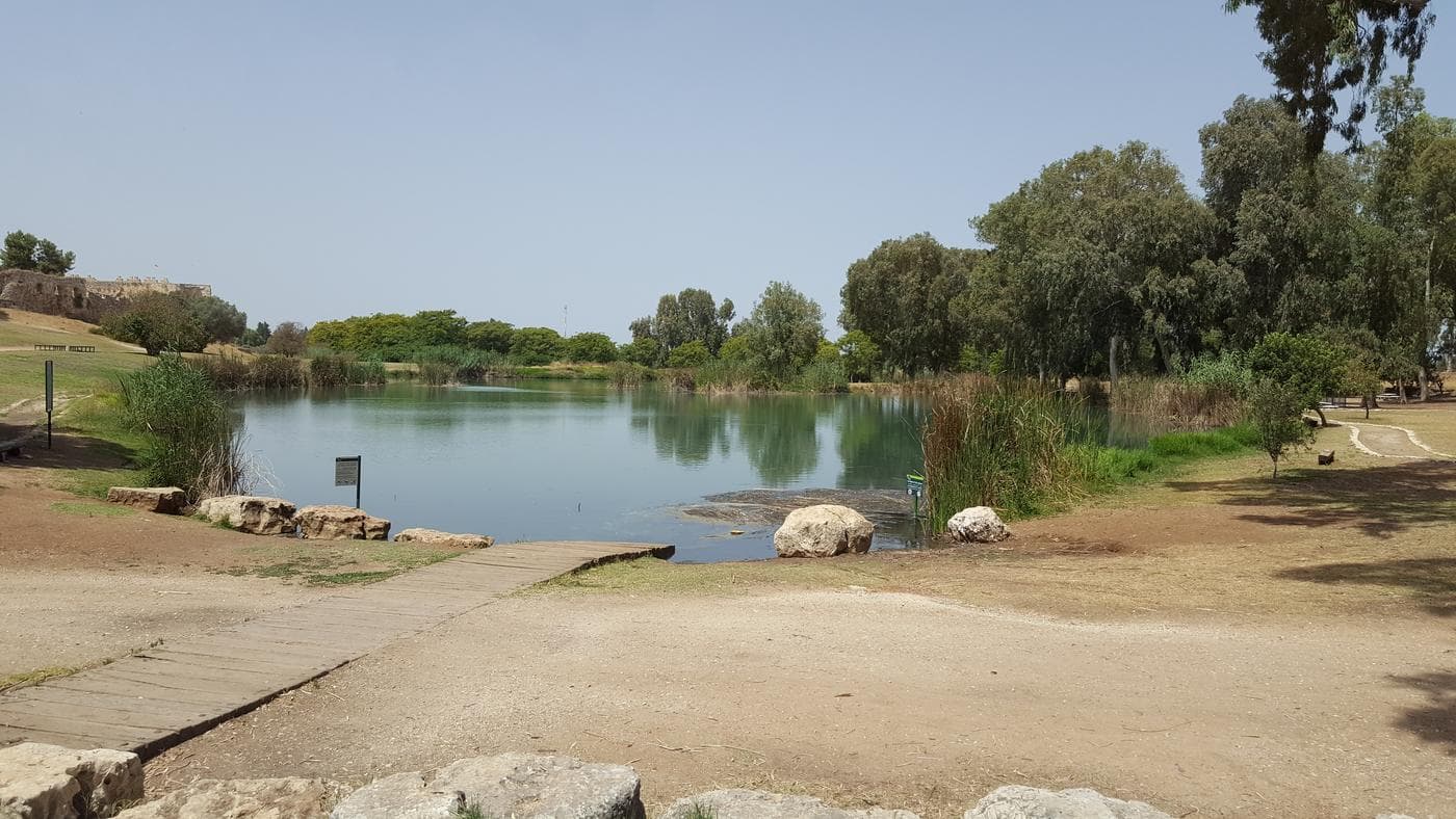 הירקון – פתח תקווה - תמונה 3