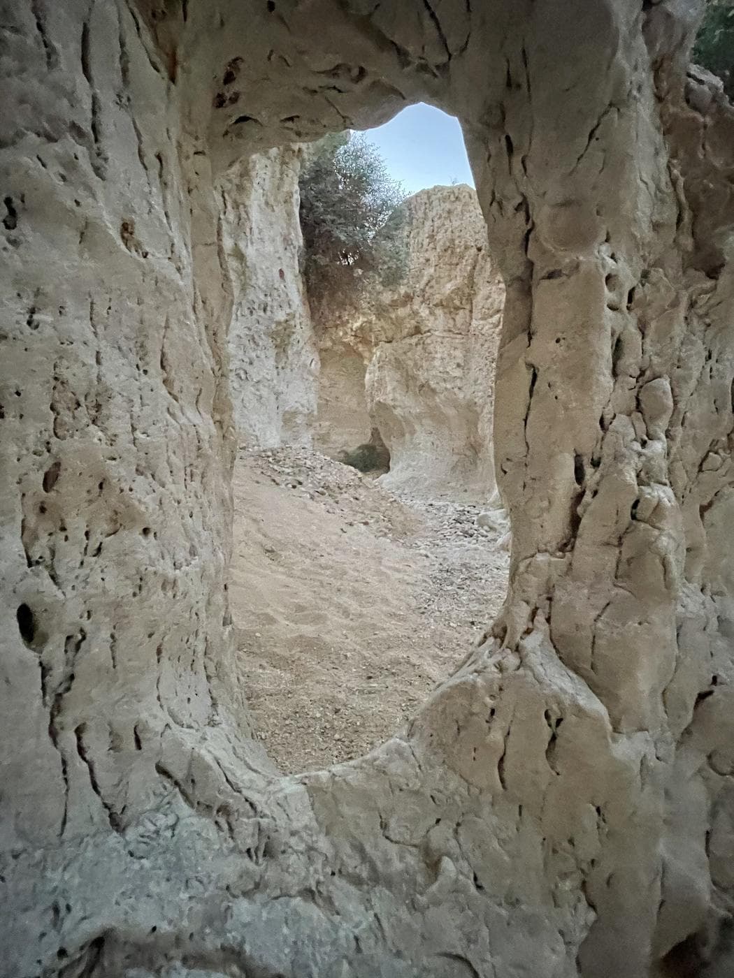 הר מסור ונחל מסור – ערבה תיכונה - תמונה 7