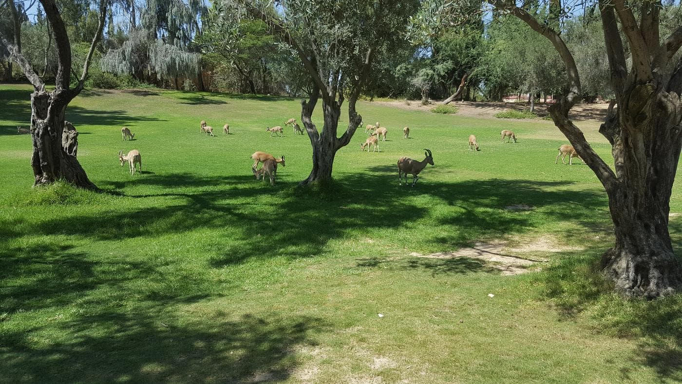 הר צין – ההר הדרמטי של הנגב - תמונה 3