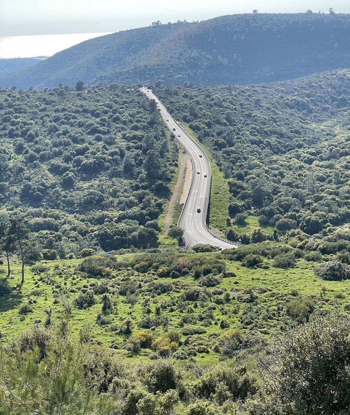 חוות משמר הכרמל – תצפית ים וסיפור התיישבות