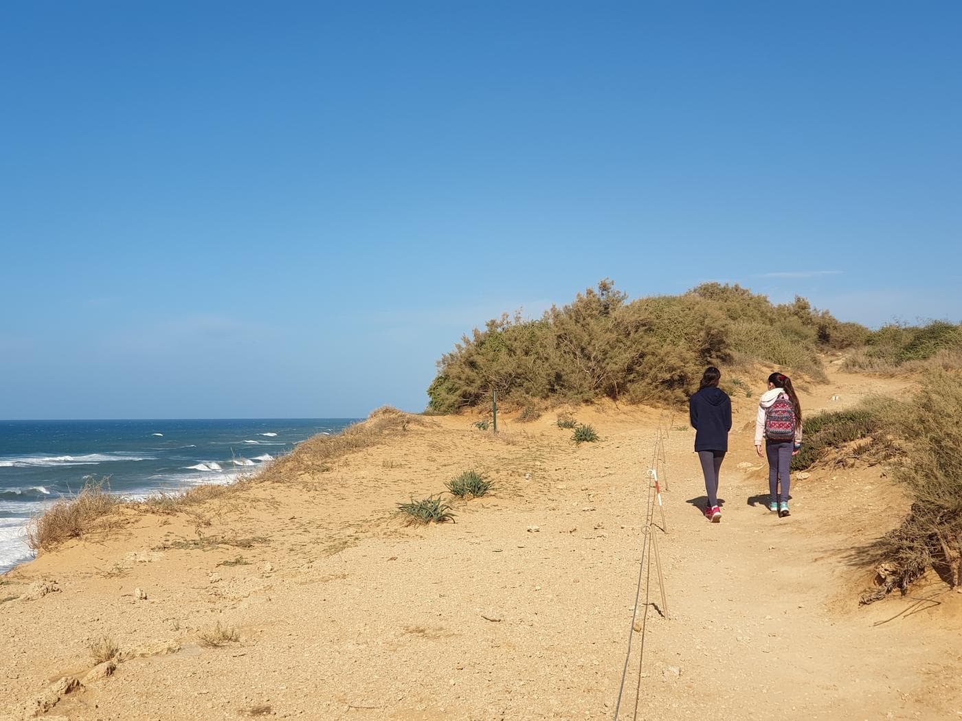 חוף געש ושמורת חוף השרון