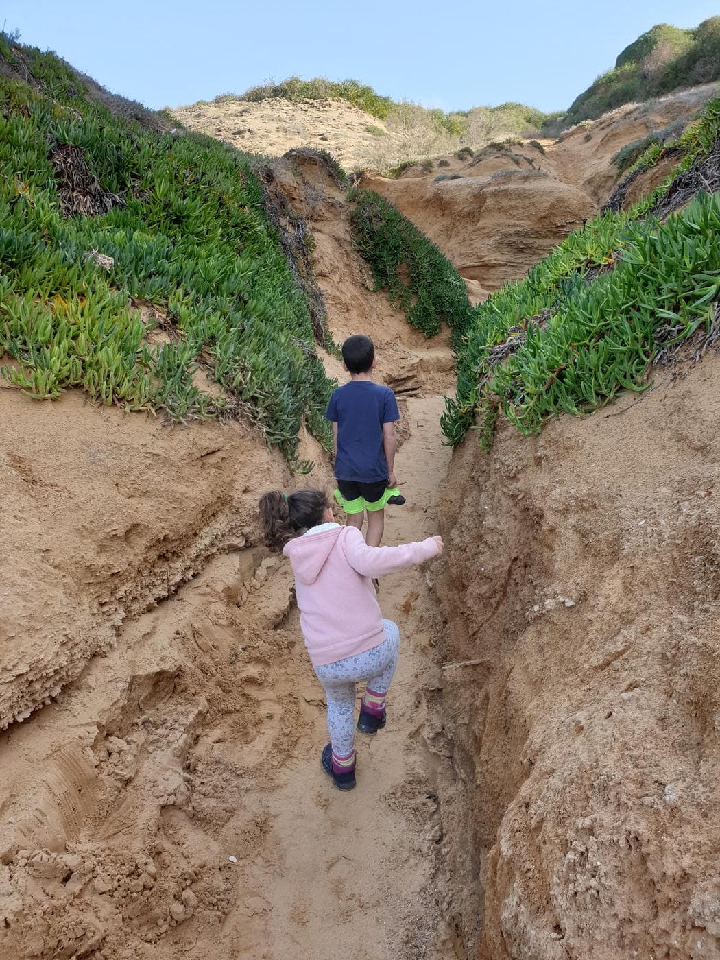 חוף געש ושמורת חוף השרון - תמונה 4