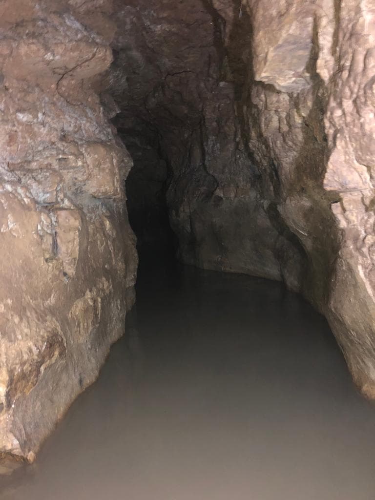 יד קנדי ושביל המעיינות ביער עמינדב