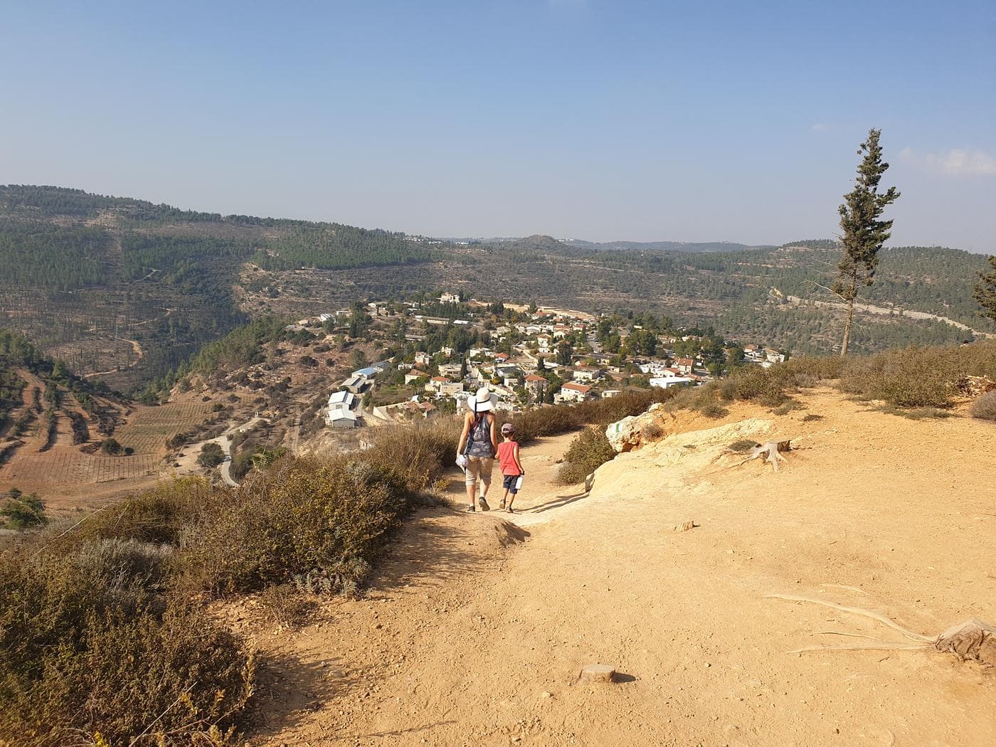 יד קנדי ושביל המעיינות ביער עמינדב - תמונה 3