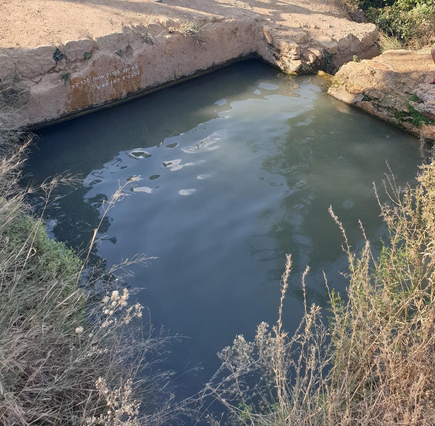 יד קנדי ושביל המעיינות ביער עמינדב - תמונה 4