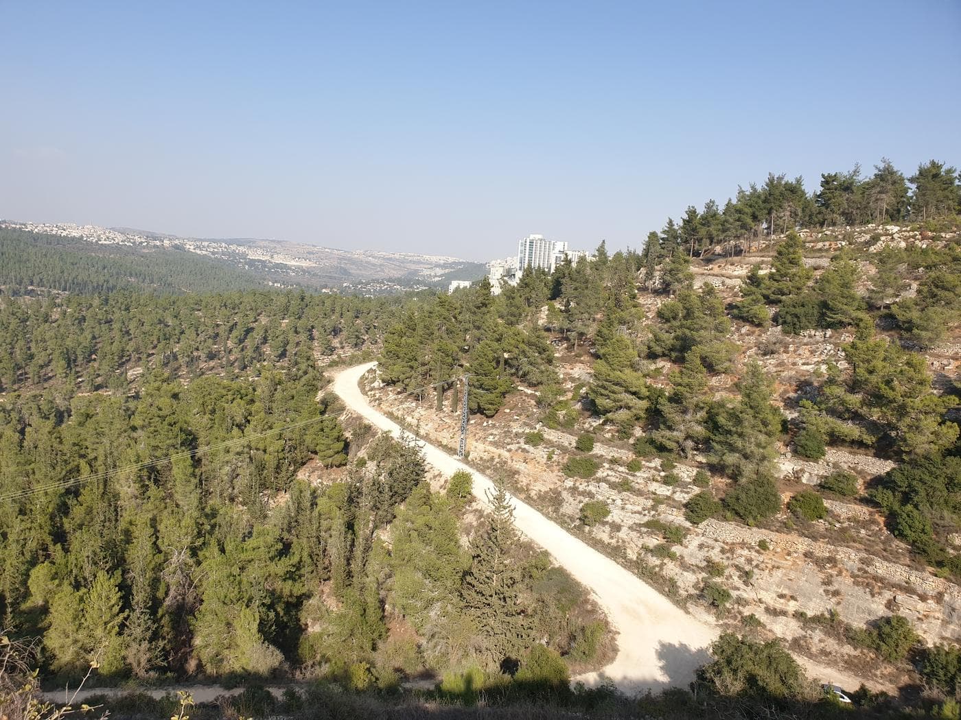 יד קנדי ושביל המעיינות ביער עמינדב - תמונה 5