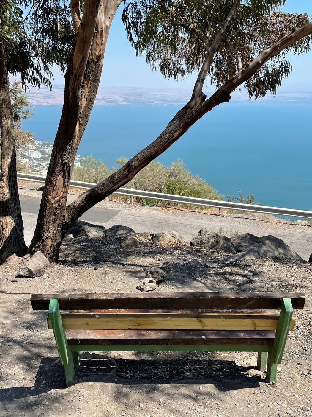 יערות קק"ל – מים, יער וחניון - תמונה 4