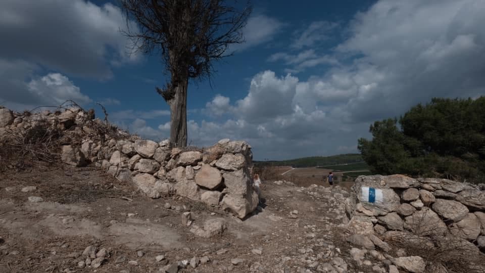 יער חרובית ותל צפית