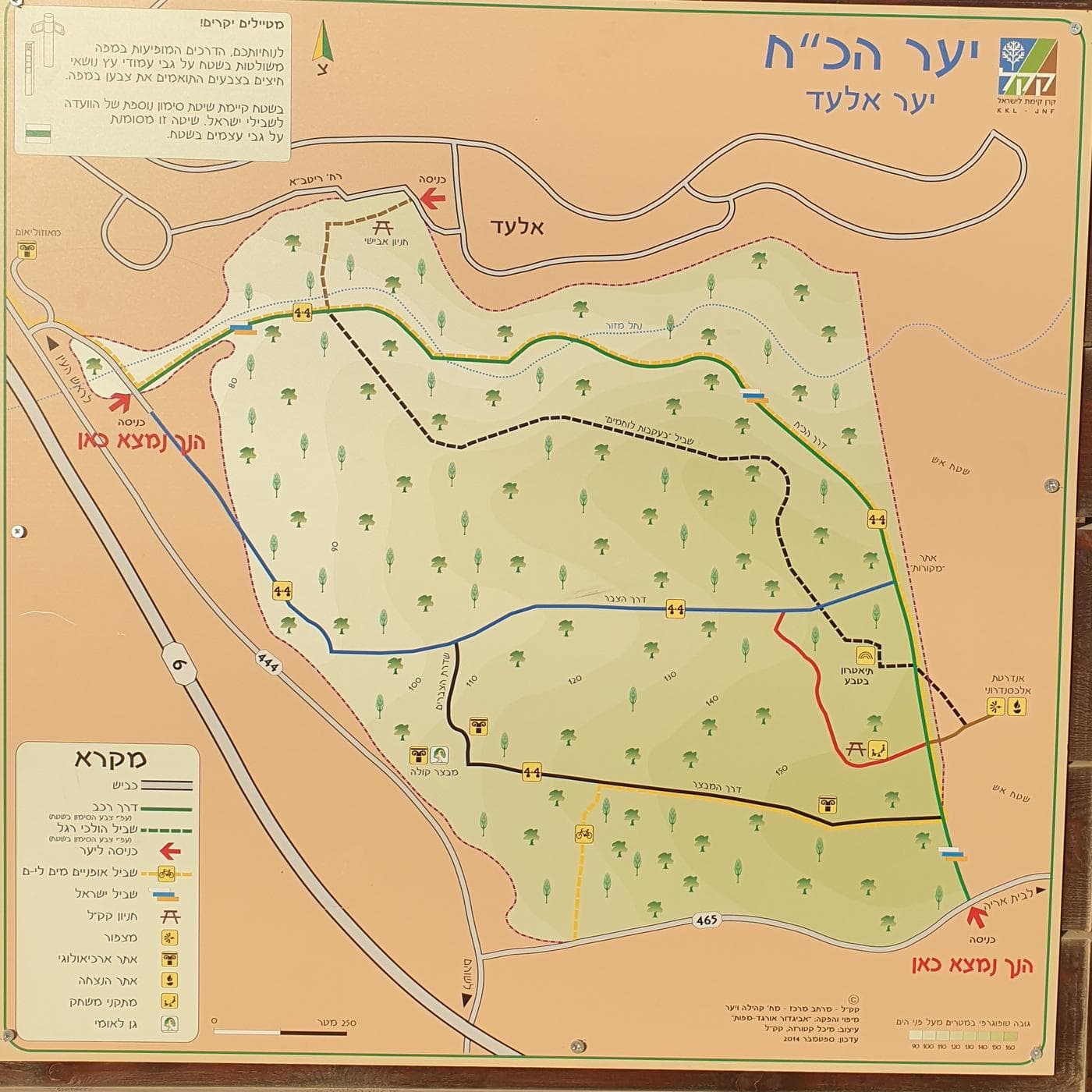 יער קולה - תמונה 2