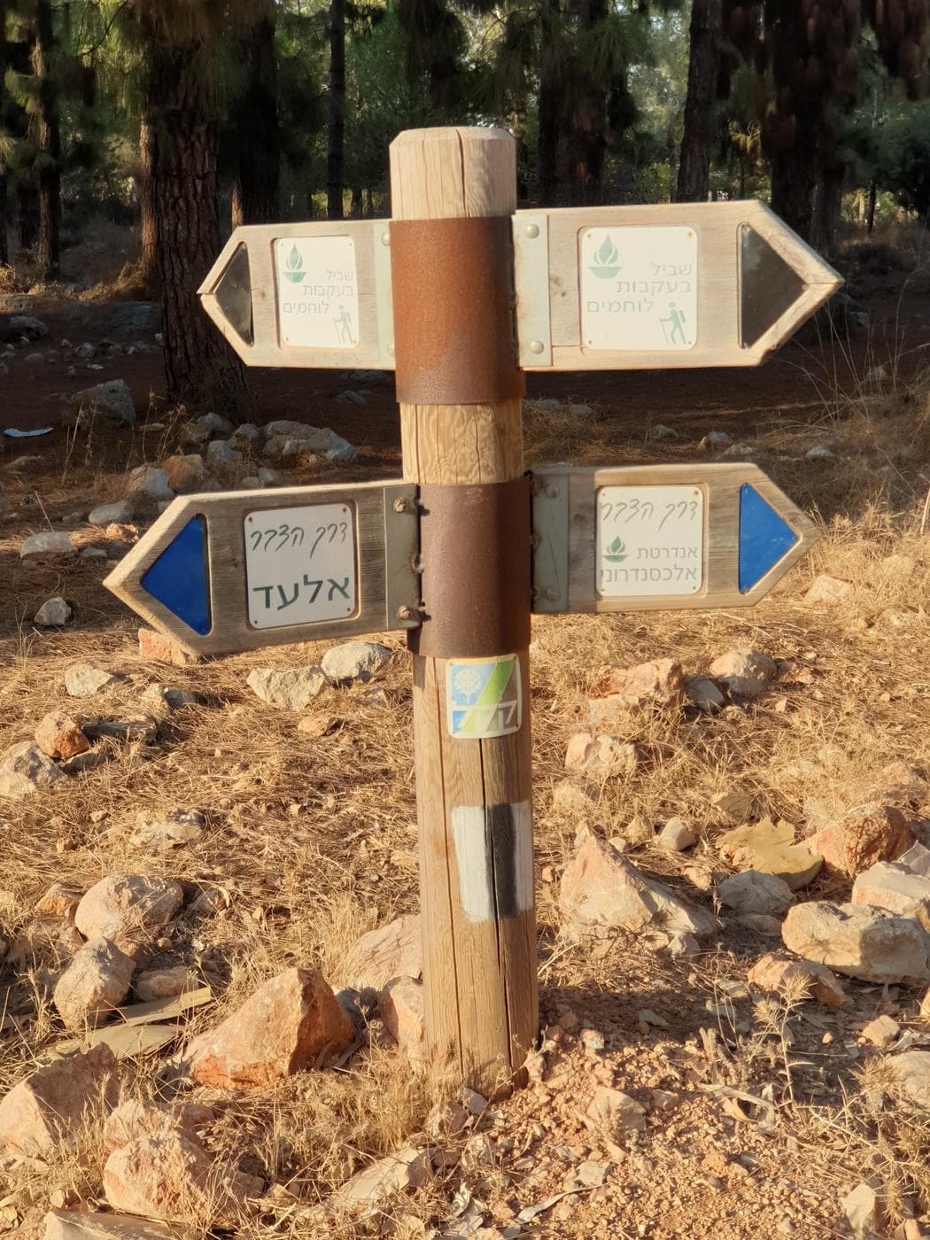 יער קולה - תמונה 11