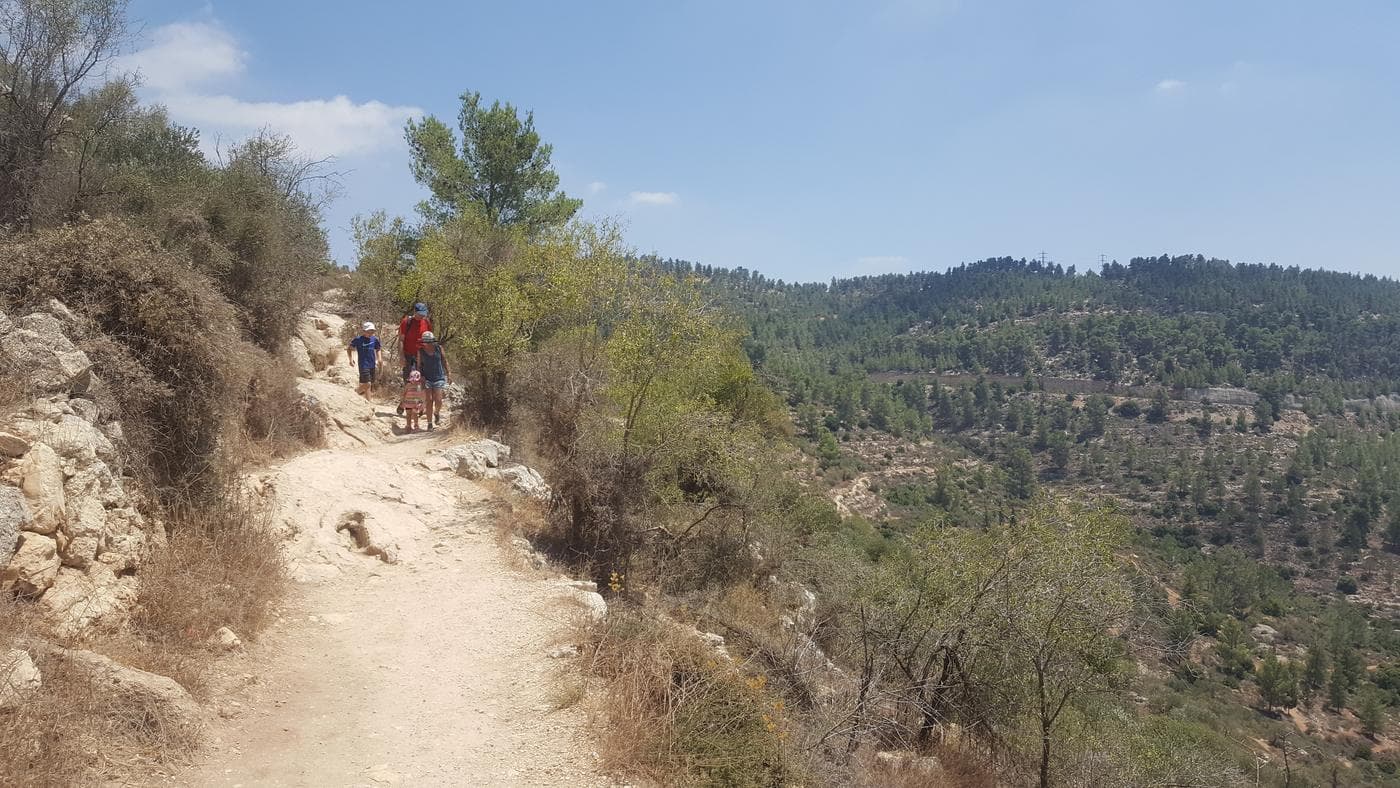 מחניון הסטף לעין חנדק - תמונה 11
