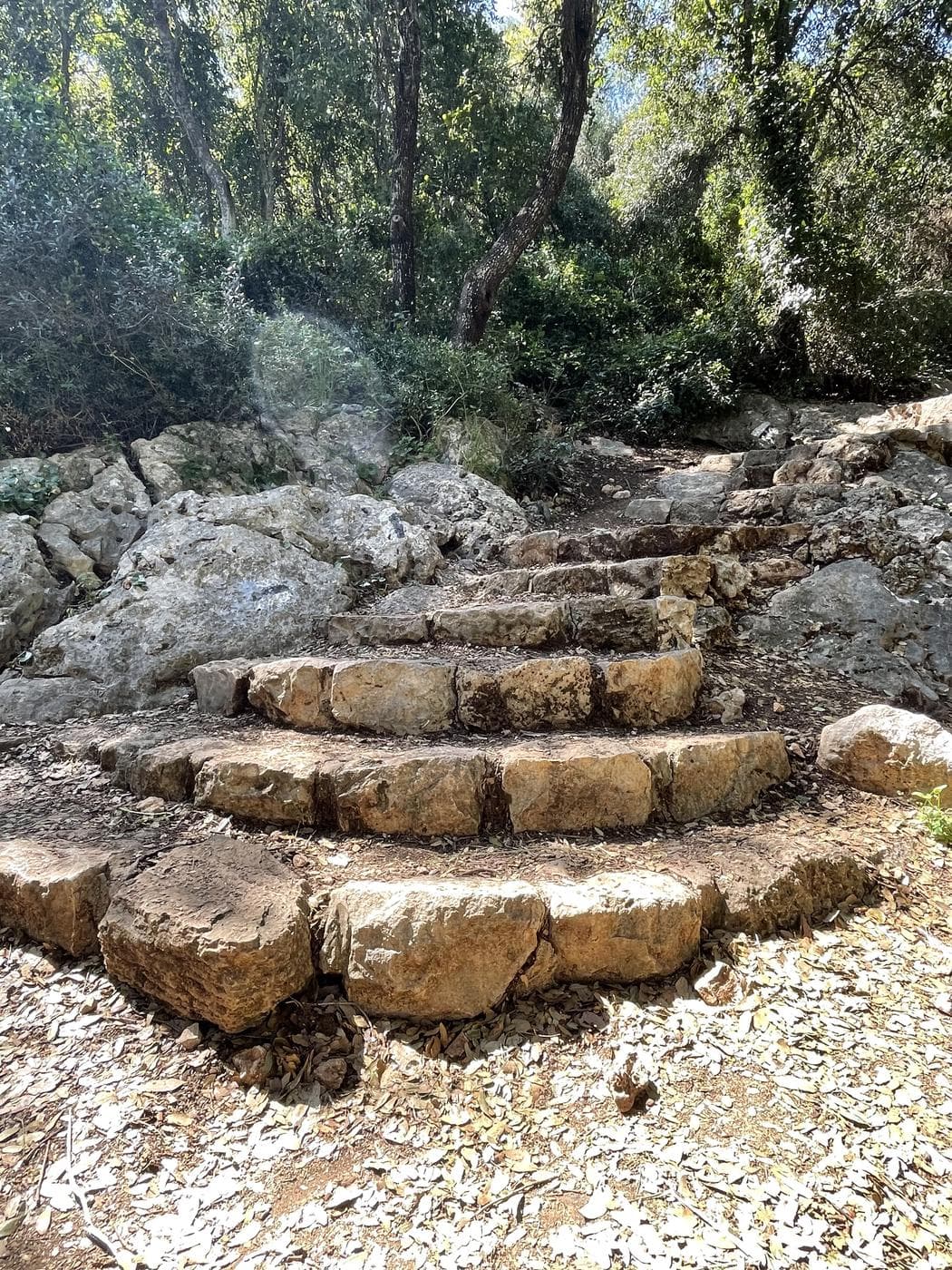 מערת אצבע ורכס אצבע – נחל אורן, כרמל - תמונה 4