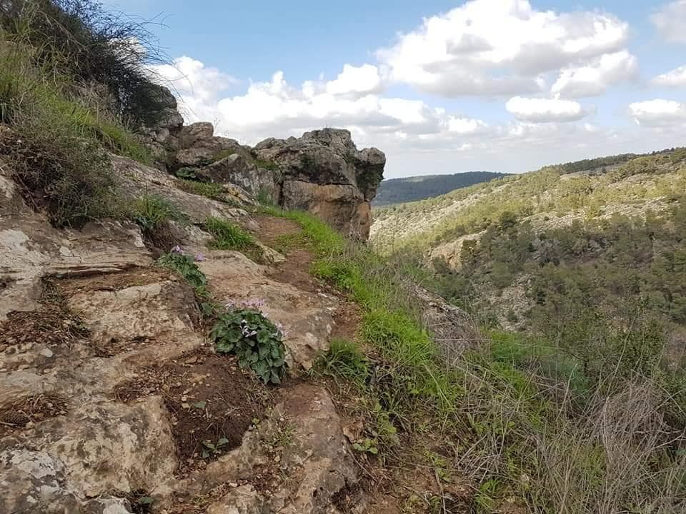 מערת בני ברית עד אנדרטת מגילות האש