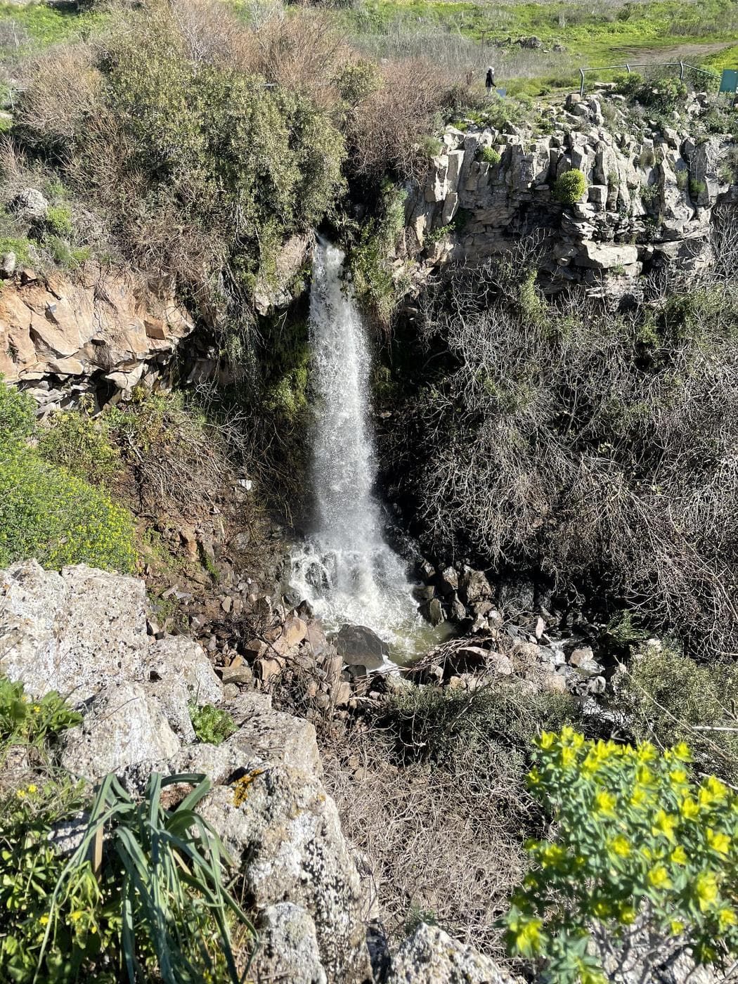 מפל עיט – נחל עיט, מרכז רמת הגולן