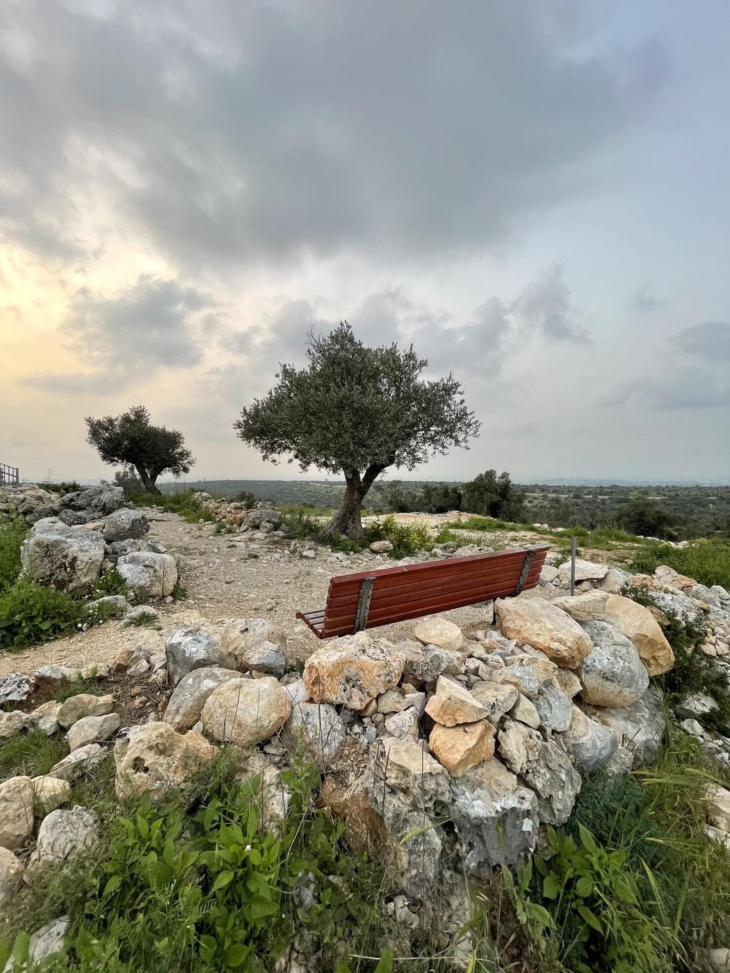 מצפה הדר גולדין – סלעית - תמונה 5