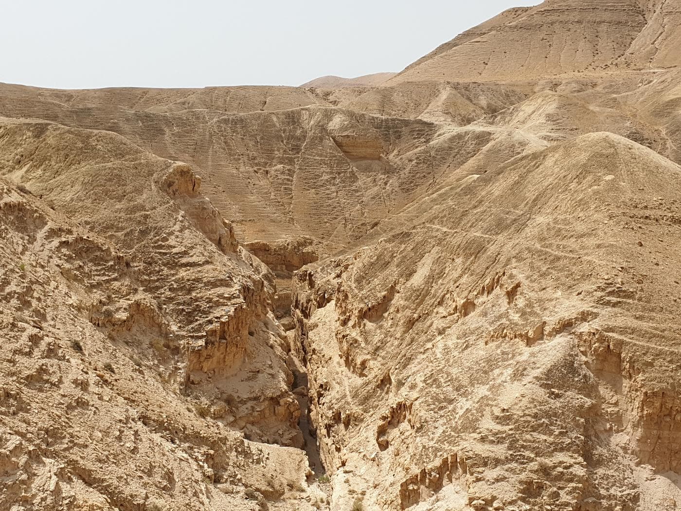 נחל אוג - תמונה 11