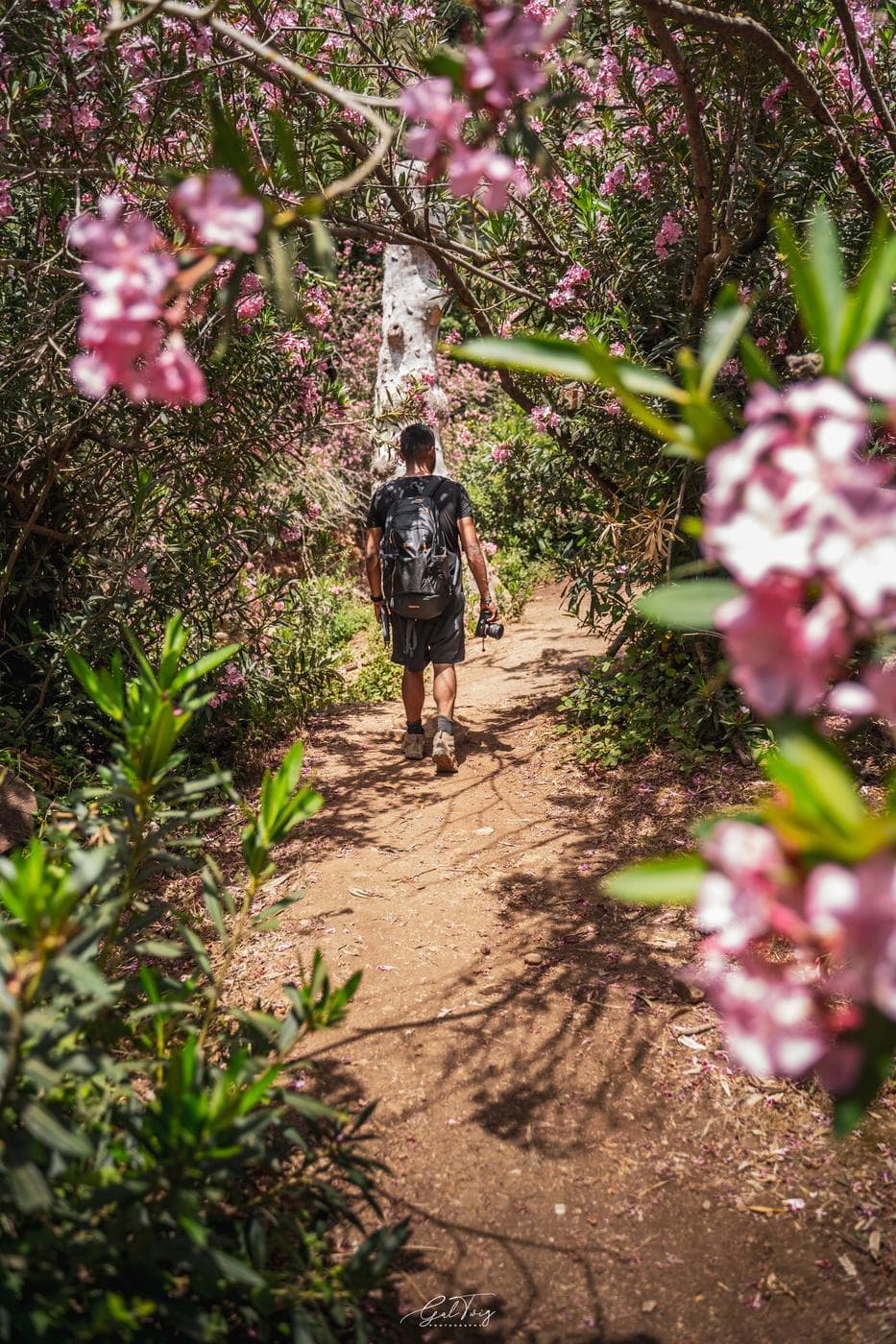נחל בצת – בריכות ומפלון, גליל מערבי - תמונה 3