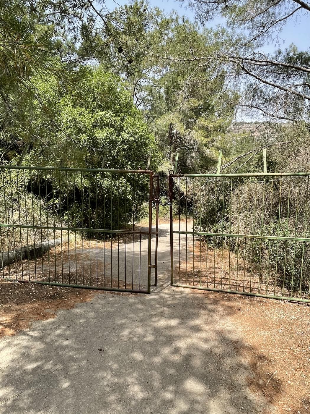 נחל בצת – בריכות ומפלון, גליל מערבי - תמונה 5