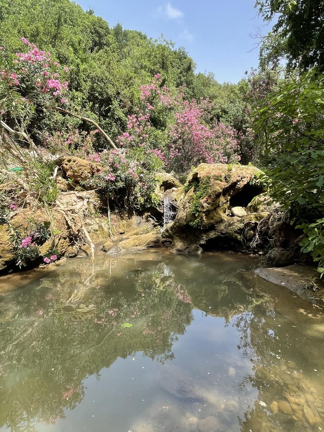 נחל בצת – גליל מערבי