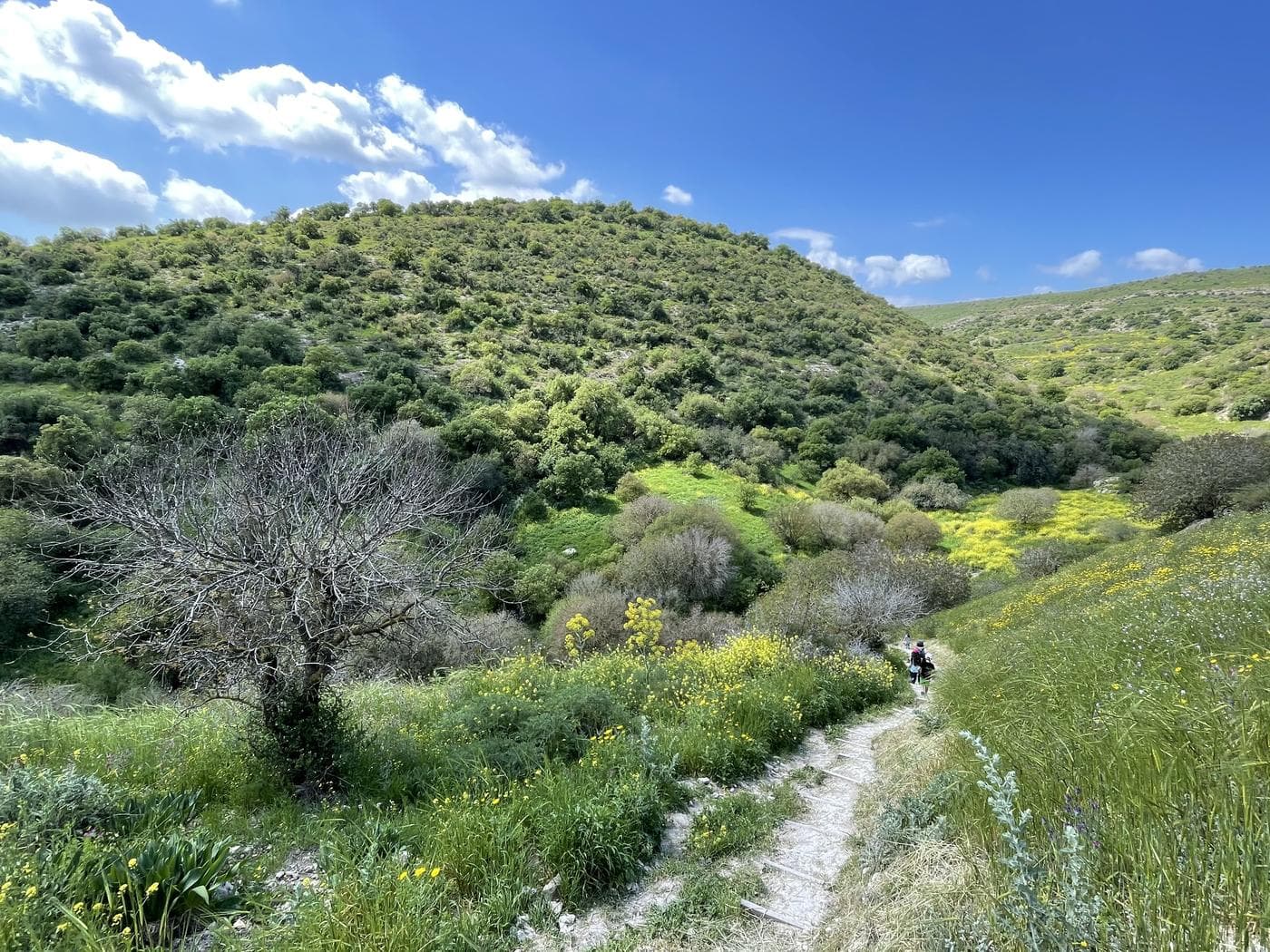 נחל מיצר – Wadi Meitzar, רמת הגולן - תמונה 3