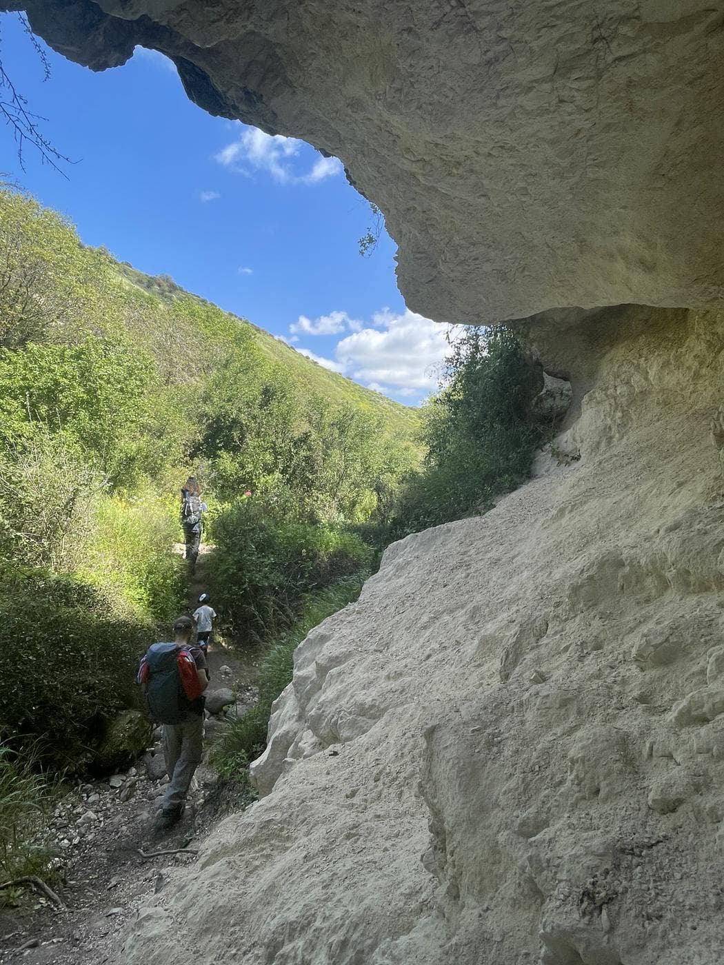 נחל מיצר – Wadi Meitzar, רמת הגולן - תמונה 4