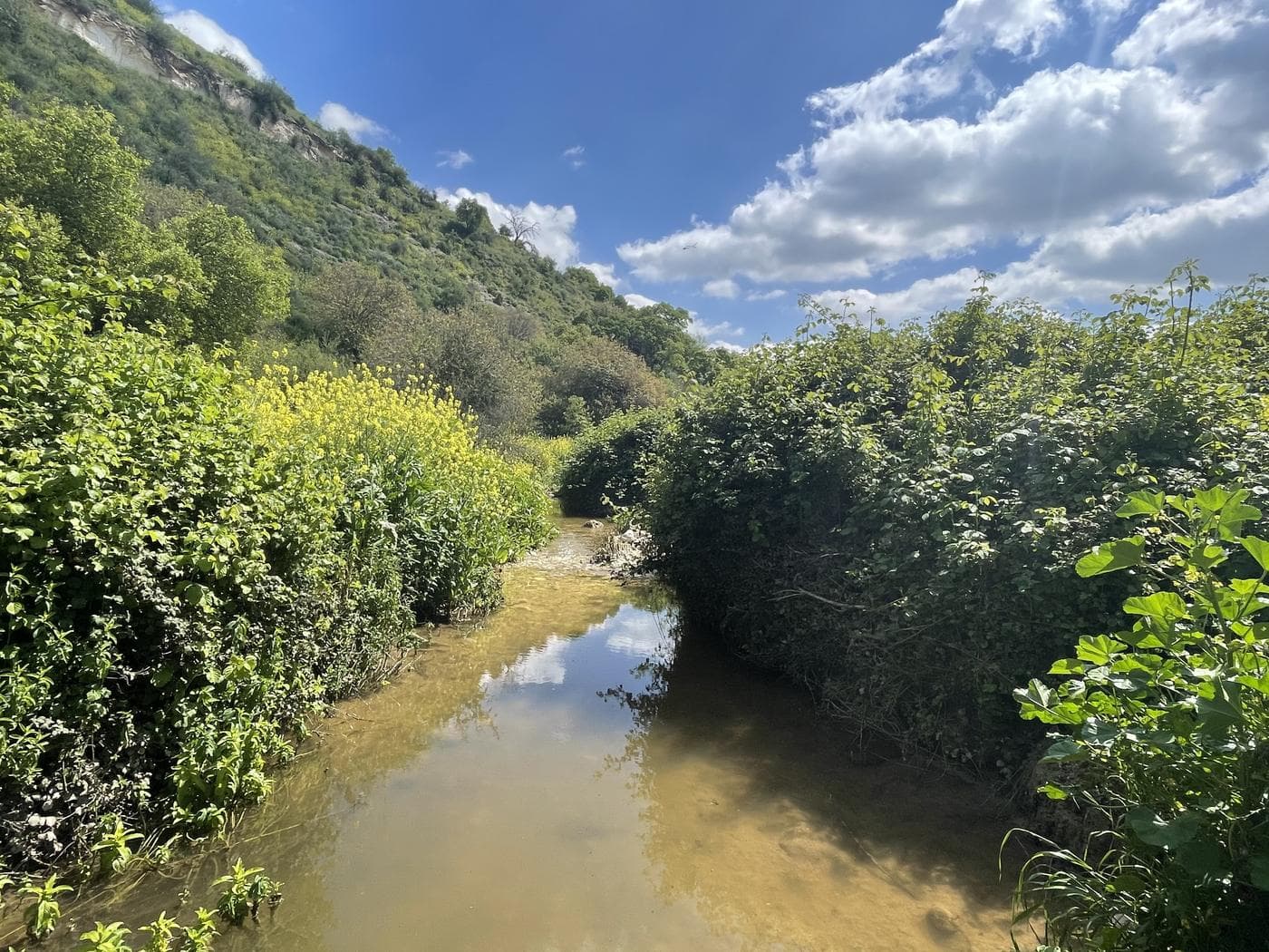 נחל מיצר – Wadi Meitzar, רמת הגולן - תמונה 6