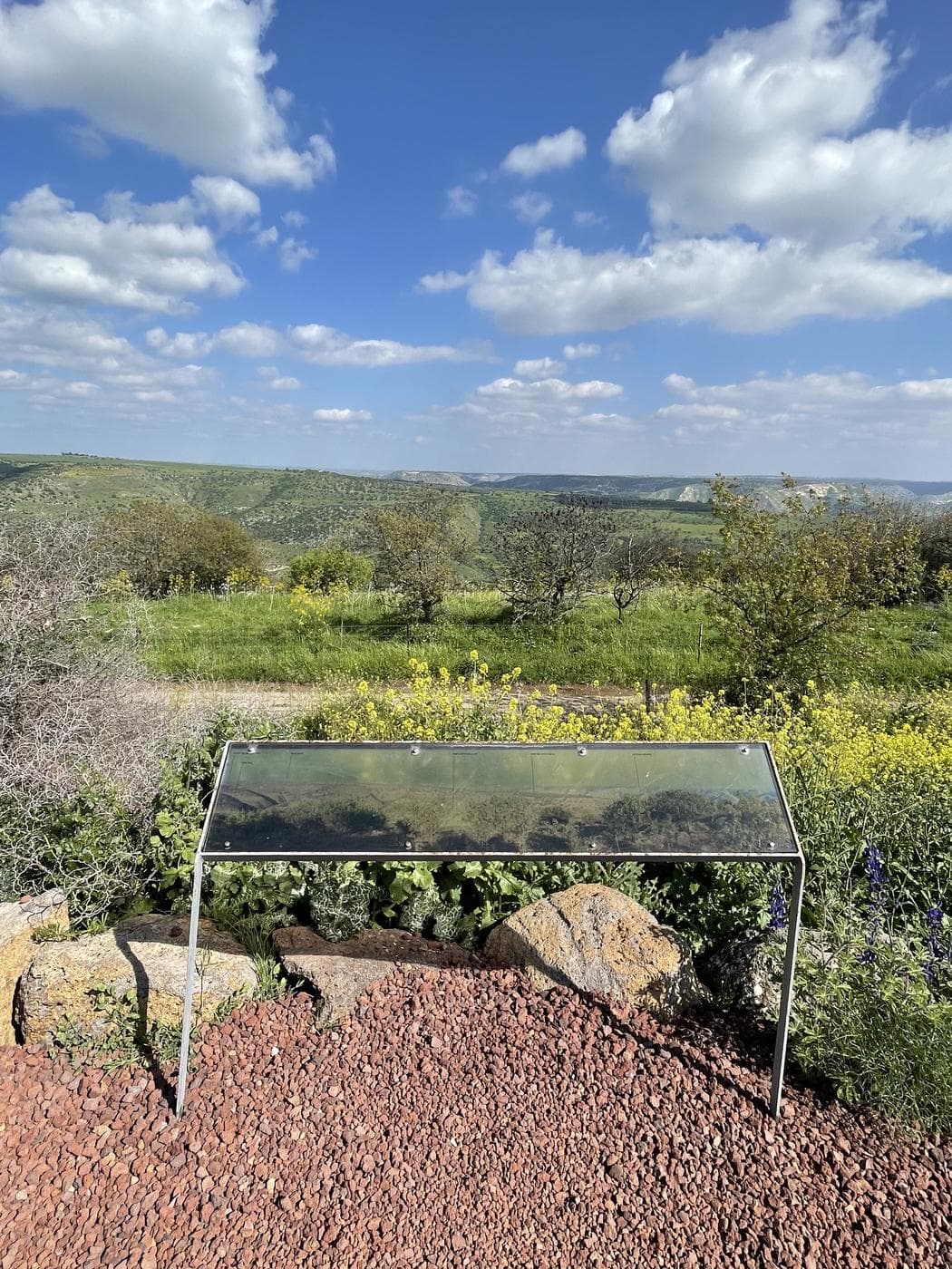 נחל מיצר – Wadi Meitzar, רמת הגולן - תמונה 11