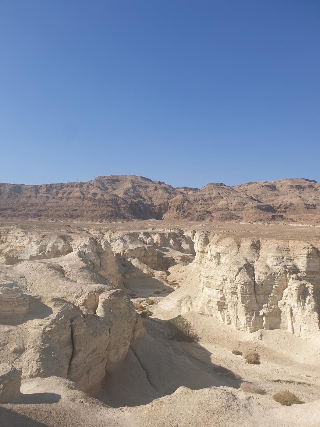 נחל פרצים – "עוגת הטרמיסו", מדבר יהודה - תמונה 6