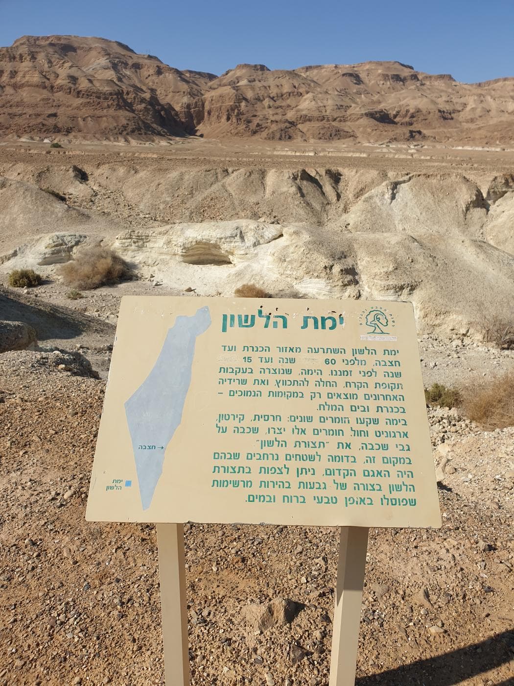 נחל פרצים – "עוגת הטרמיסו", מדבר יהודה - תמונה 7