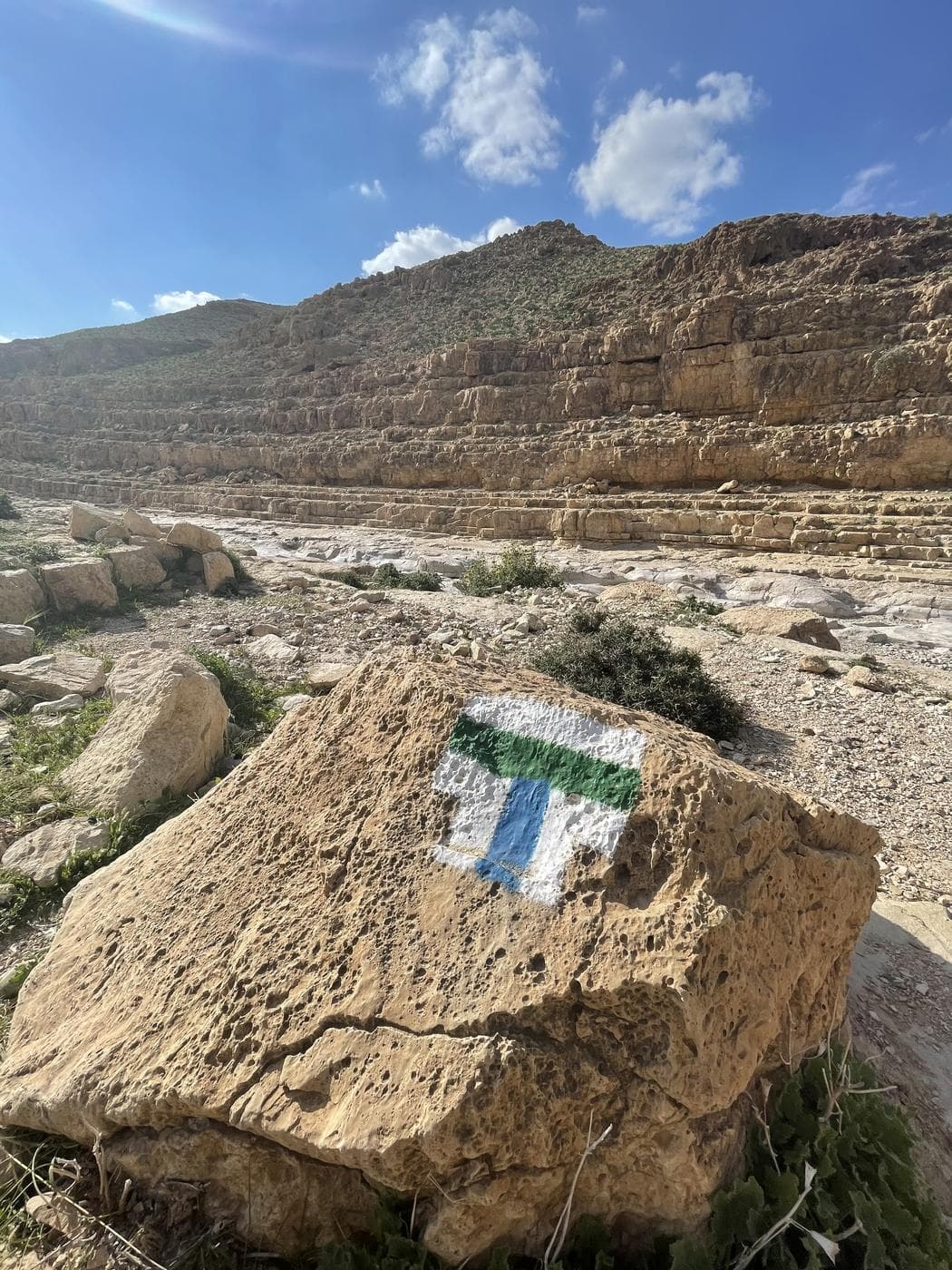נחל צאלים המלא – הר צפירה, גבים וברכת צפירה - תמונה 6