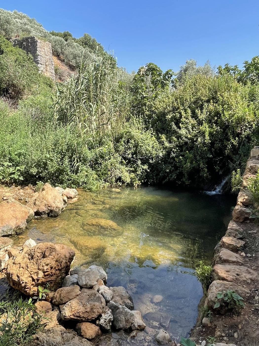 נחל צלמון – טחנות קמח ובריכות, גליל תחתון - תמונה 4