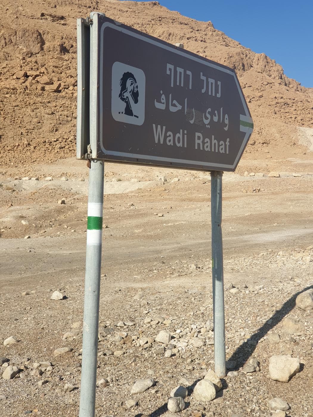 נחל רחף – גבי מים בקניון מדברי - תמונה 5